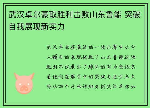 武汉卓尔豪取胜利击败山东鲁能 突破自我展现新实力